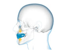 Hammassuojat - Shock Doctor - Double Braces - Junior, sininen